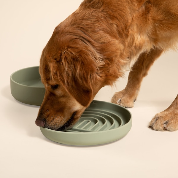 Puzzle Feeder for Dogs: Silicone Slow Feeder Bowl with Suction Cup Base