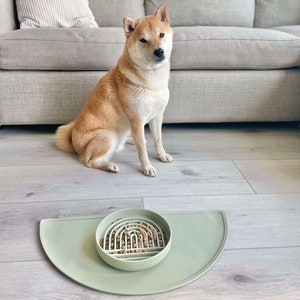 Silicone pet food mat in a clean, modern house. Green dog bowl mat for water bowl and food bowl. The waterproof mat is protecting the floor. Can also be used as a cat food mat. Cute dog looking at his green dog bowl mat.