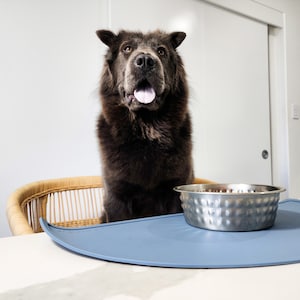 Silicone mat used under dog bowls. The dog bowl mat is waterproof and is used to catch dog food and water spills. Blue rubber mat that is used as a dog food mat or cat mat.