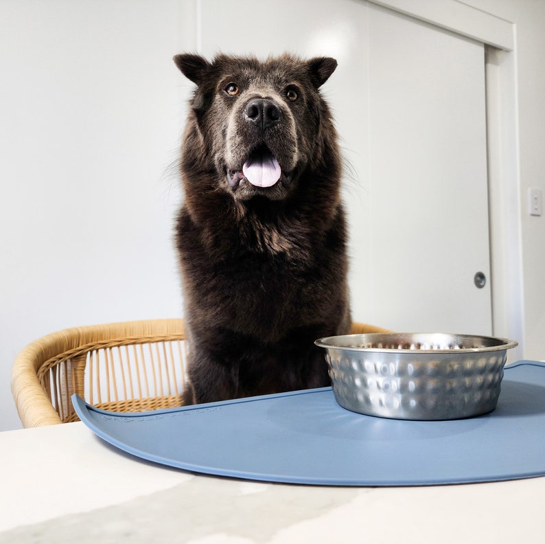 Silicone mat used under dog bowls. The dog bowl mat is waterproof and is used to catch dog food and water spills. Blue rubber mat that is used as a dog food mat or cat mat.