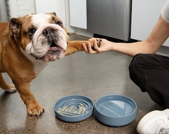 No-Spill Dog Bowl: Silicone Pet Bowl with Suction Cup