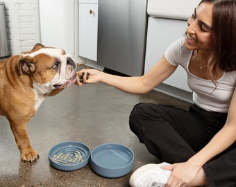No-Spill Dog Bowl: Silicone Pet Bowl with Suction Cup