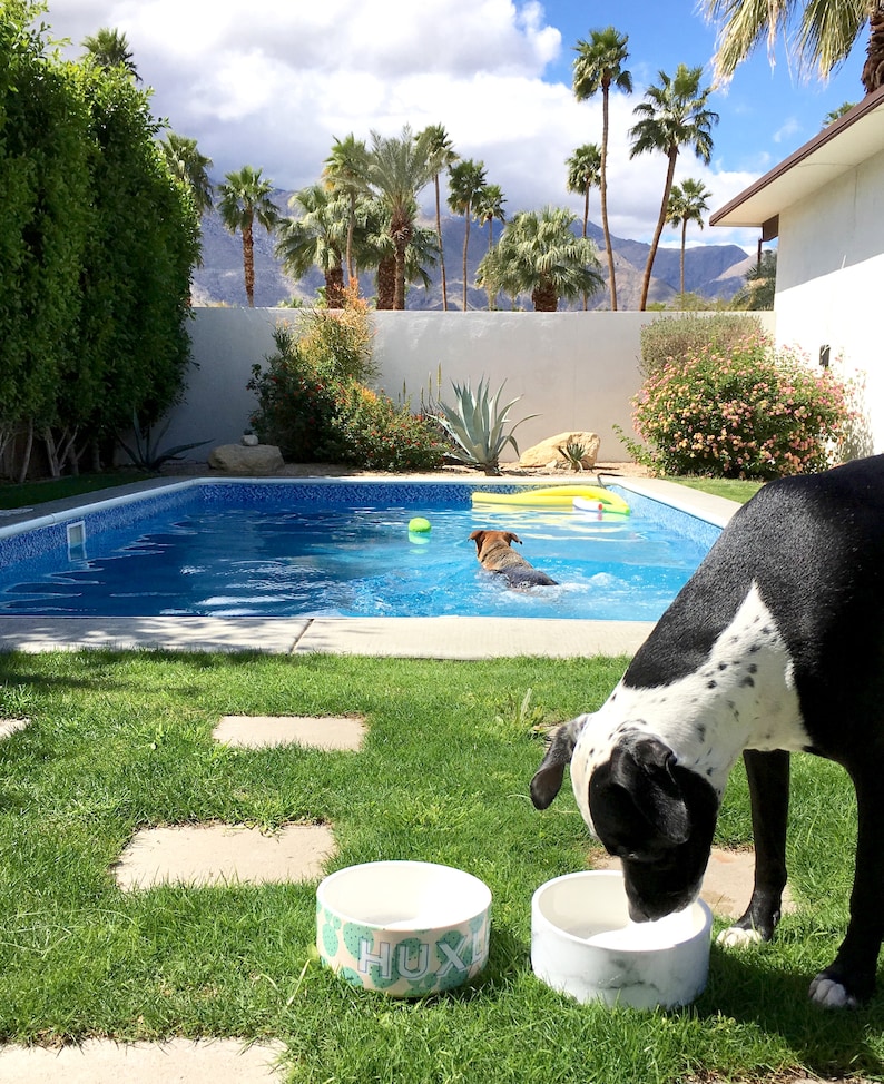 Dog Bowl: Custom with Your Pet's Name // You Choose The Color, Patterns, & Personalization // Modern, Large Dog Bowls for Food and Water image 3