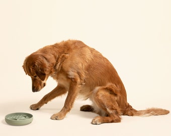 Interactive Slow Feeder: Silicone Dog Bowl with Suction Cup for No-Spill Eating