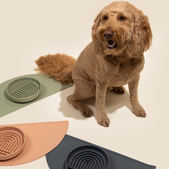 Messy Paws Absorbent Pet Dish Mat