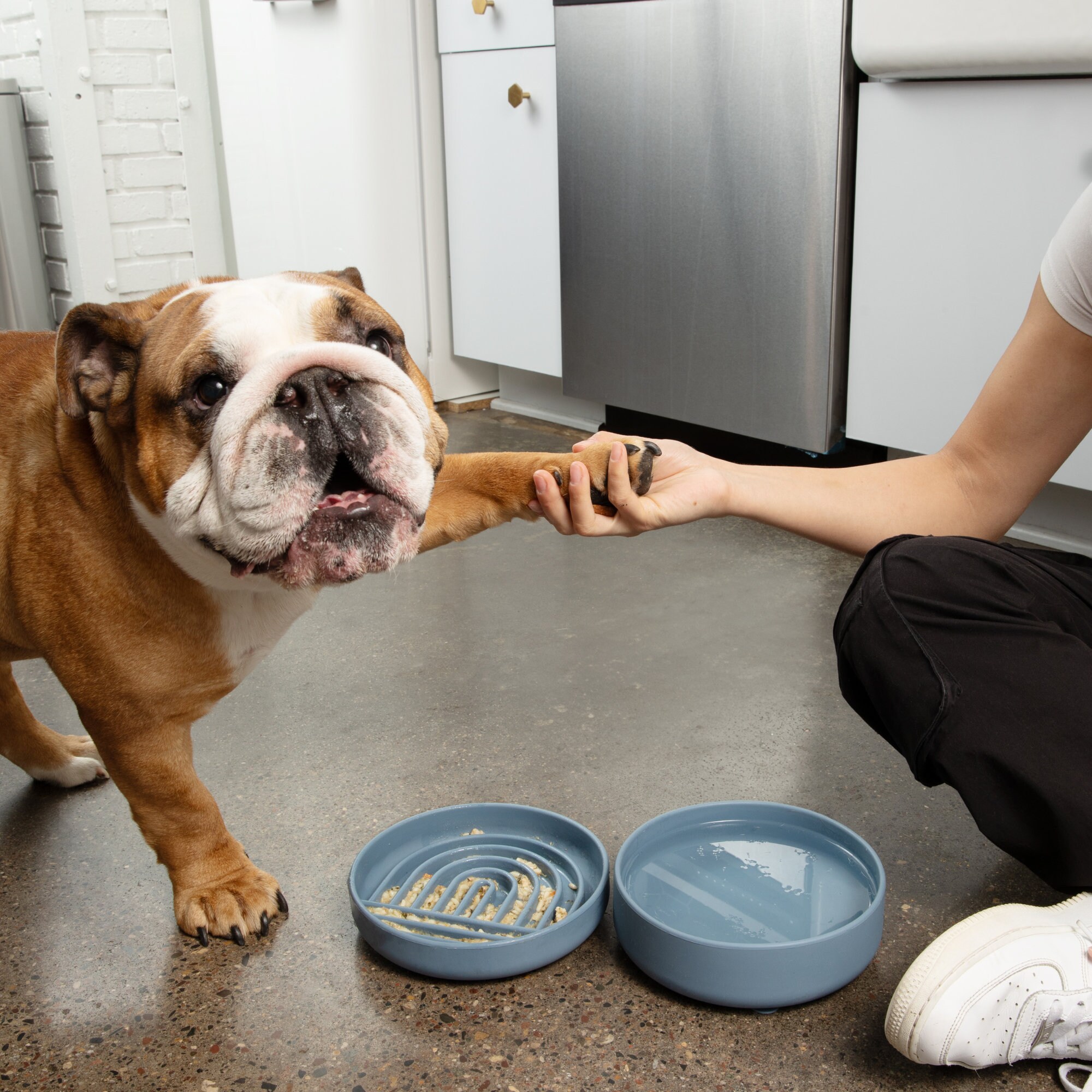 Slow Feeder Dog Bowls Insert For Large Breed And Medium Size Dog
