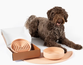 Silicone Dog Bowl Set: Slow Feeder, Water Bowl & Mat, Blush