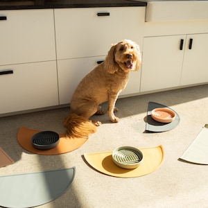 Dog food mat used under dog food and water bowls. The waterproof pet placemat protects floors. This dog bowl mat can also be used as a cat food mat for cat feeding & watering. A cute dog looking at his yellow mat.