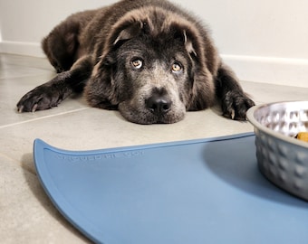 Dog Bowl Mat, Silicone Waterproof Mat For Water Bowl & Food Bowl, Protect Floors Contain Messes, Aesthetic Dog Mat