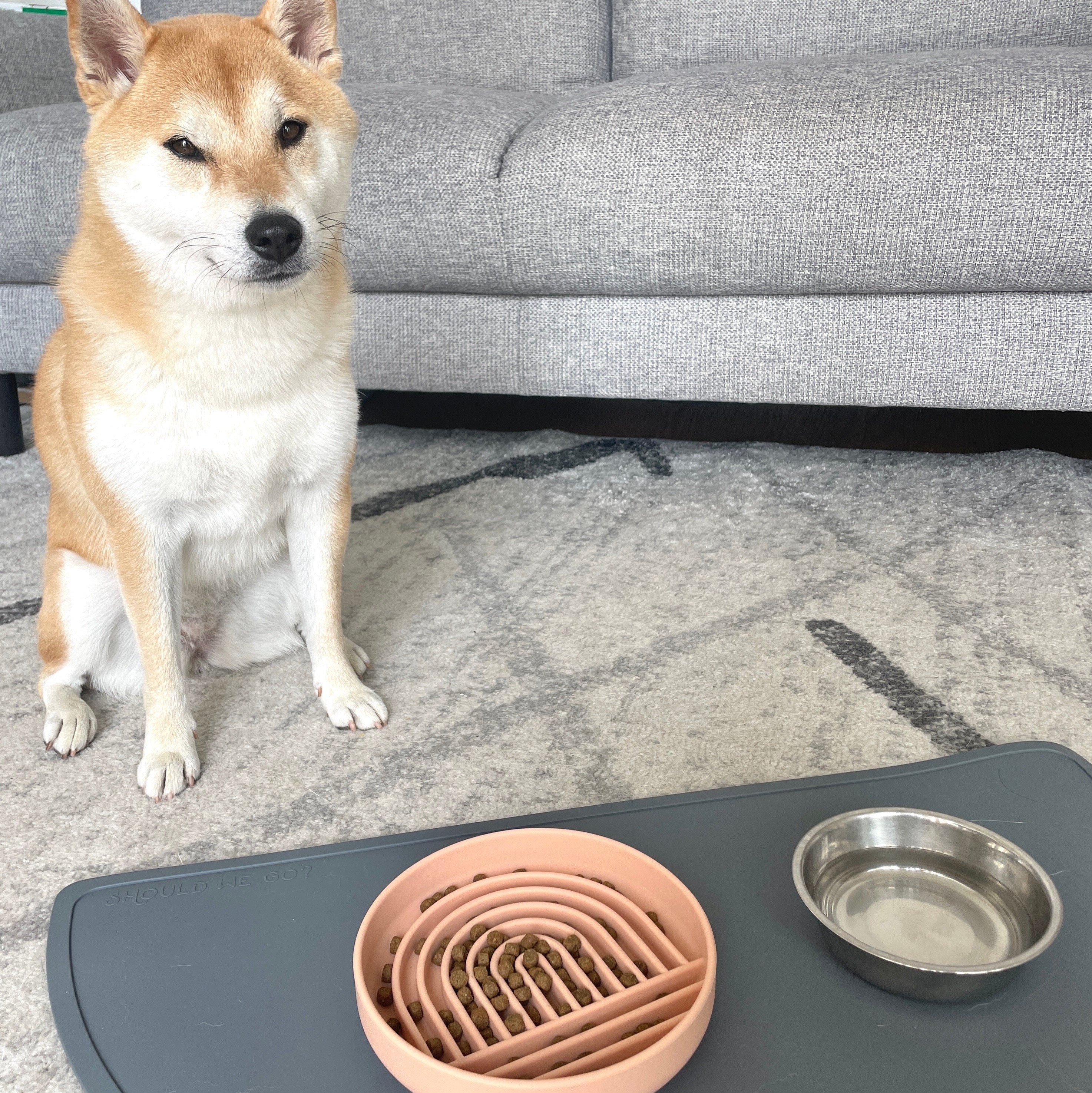 Dog Food Mat - Waterproof Dog Bowl Mat, Silicone Dog Mat for Food and Water,  Pet Food Mat with Edges, Dog Food Mats for Floors, Nonslip Dog Feeding Mat  
