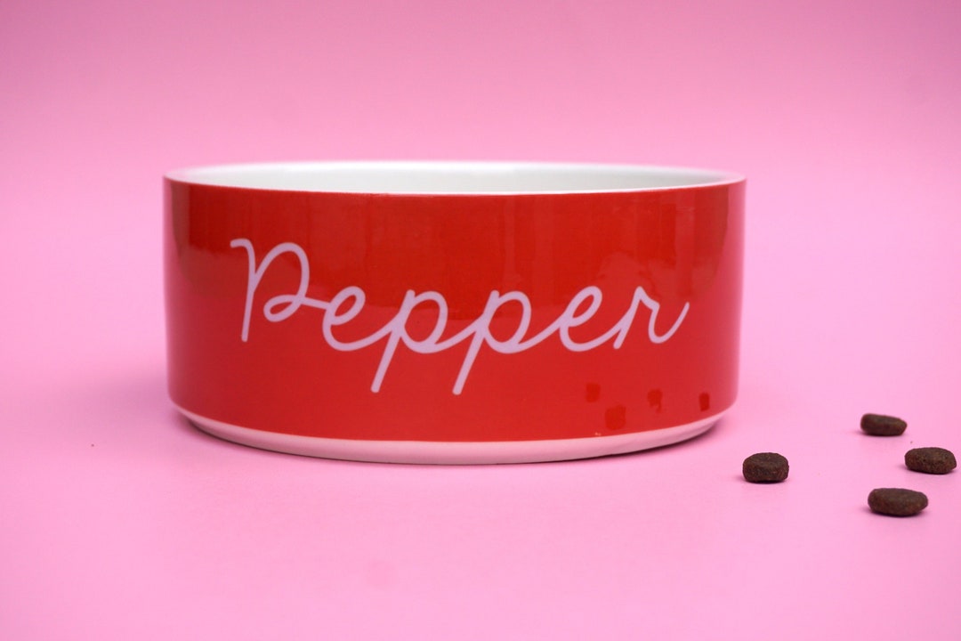 Personalized Pet Bowl Modern Ceramic, Custom Colors, Medium / Large Dog