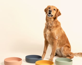 The Perfect Dish - Silicone Dog Bowl For Pet Food & Water, Non-Spill, No-Tip, Modern Design