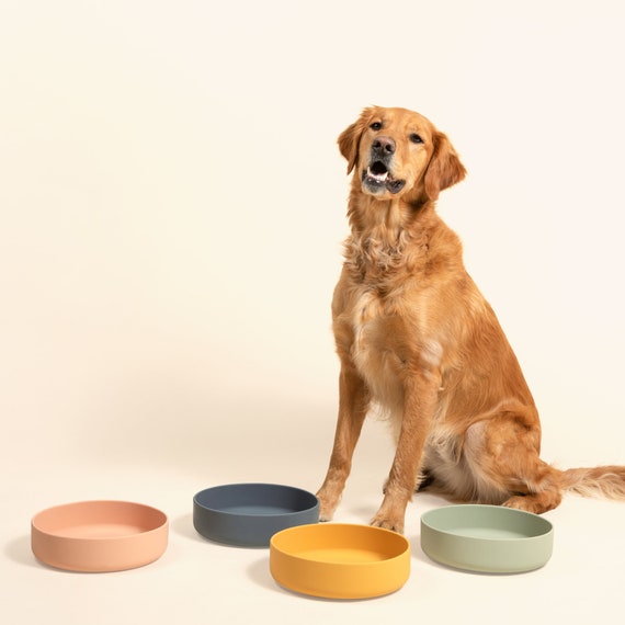 The Perfect Dish Silicone Dog Bowl for Pet Food Water Non spill No tip Modern Design Etsy