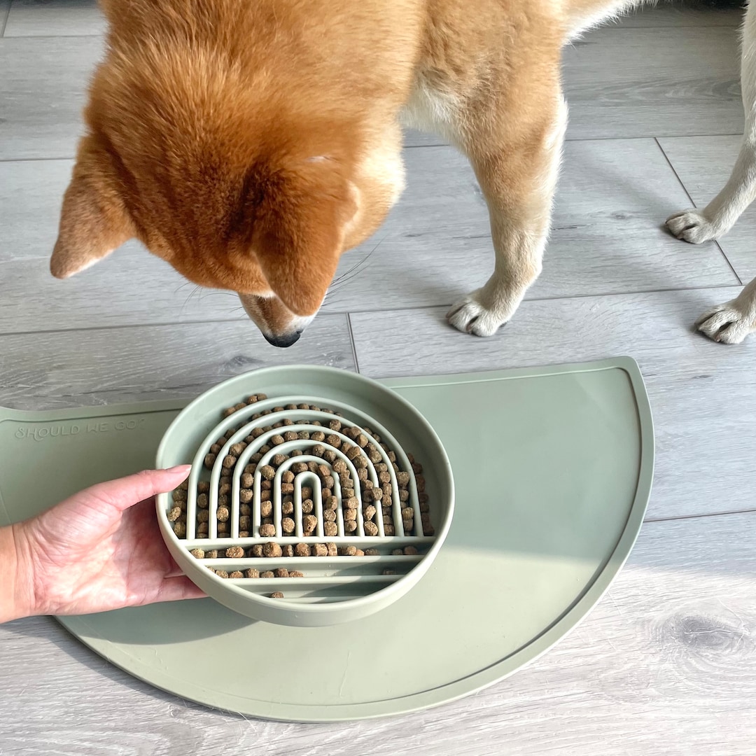 Slip Resistant Pet Bowls and Silicone Feeding Mat Set, Catch Water and Food  Mess, Raised Edges for No Spills, for Small and Large