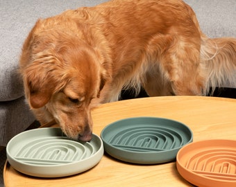 Slow Feeder Dog Bowl: Spill-Proof Silicone Pet Food Dish