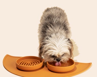 Large Silicone Feeder: Spill-Proof Pet Food Dish, Dishwasher Safe