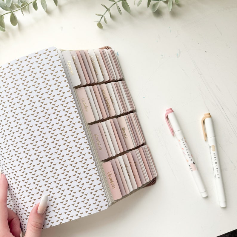 Puede incluir: Cuaderno abierto con un patr&oacute;n de tri&aacute;ngulos dorados y pesta&ntilde;as en tonos rosa y beige. Dos resaltadores blancos con tapas rosas y beige est&aacute;n junto al cuaderno. Las pesta&ntilde;as est&aacute;n etiquetadas con texto dorado.