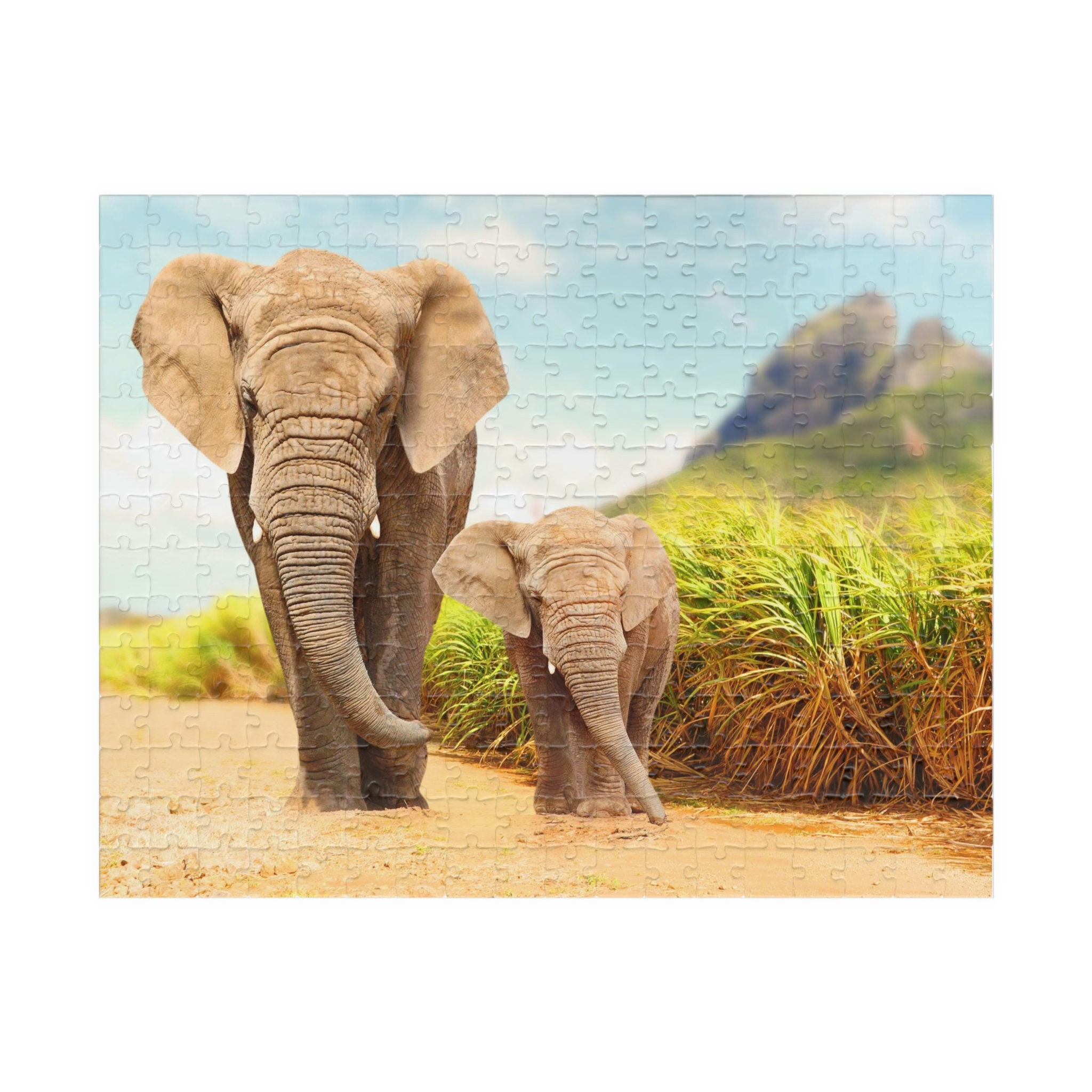 African Bush Elephants on A Wildlife Preserve Puzzle (110, 252