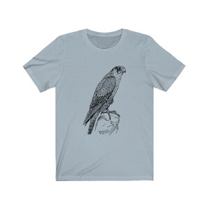 May include: A light blue t-shirt featuring a black and white illustration of a falcon perched on a rock.