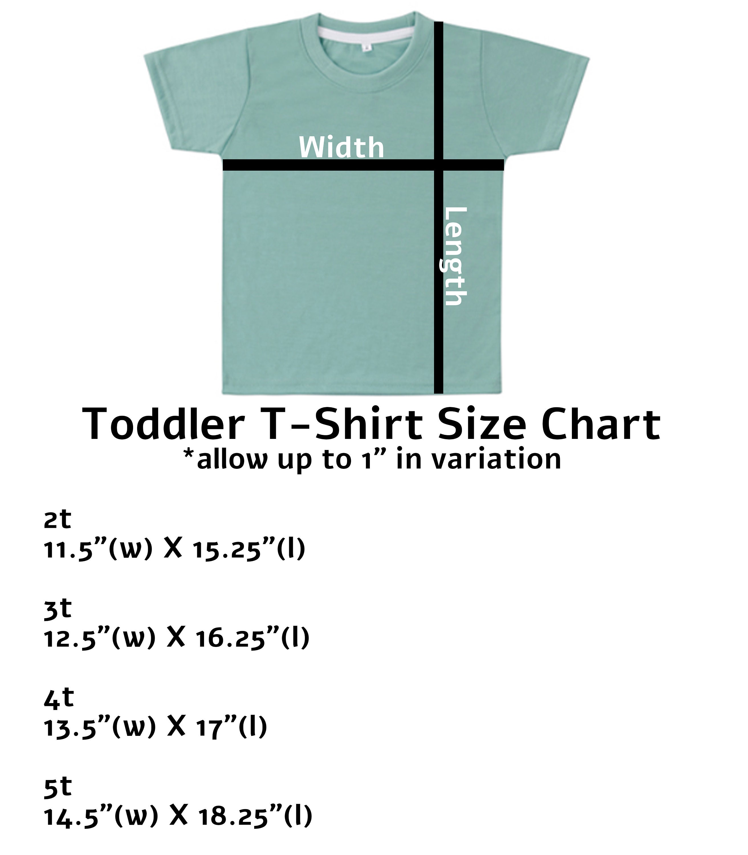 SWR Sublimation Toddler Shirt Blanks 100% Polyester Baby Shirts Mixed  Colors 12Pack, 5-6 Years