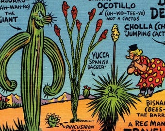 Vintage Postkarte Wüste Desperados Saguaro Yucca Bisnaga Pflanzen Südwest Werbung Sammlerstück Ungepostet