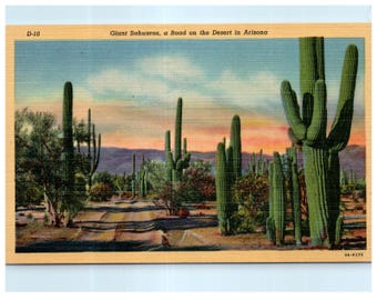 Vintage Postcard “Giant Saguaros, a Road on the Desert in Arizona” 1940s Linen Desert Advertising Ephemera