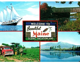 Verchromte Vintage Postkarte: Welcome to Maine Malerische Urlaubsland Schild