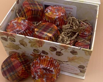 Fall Firestarter Nature Gift Box (18 Firestarters)