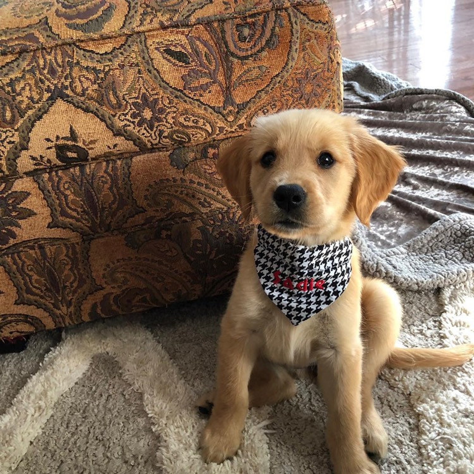 Mississippi State Dog Bandana Empreintes De Pattes Etsy Mississippi State Dog Bandana Empreintes De Pattes Etsy