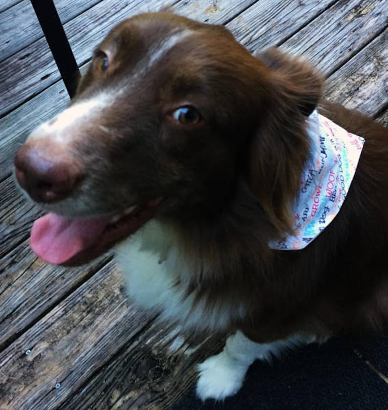 Dog Bandana Woof