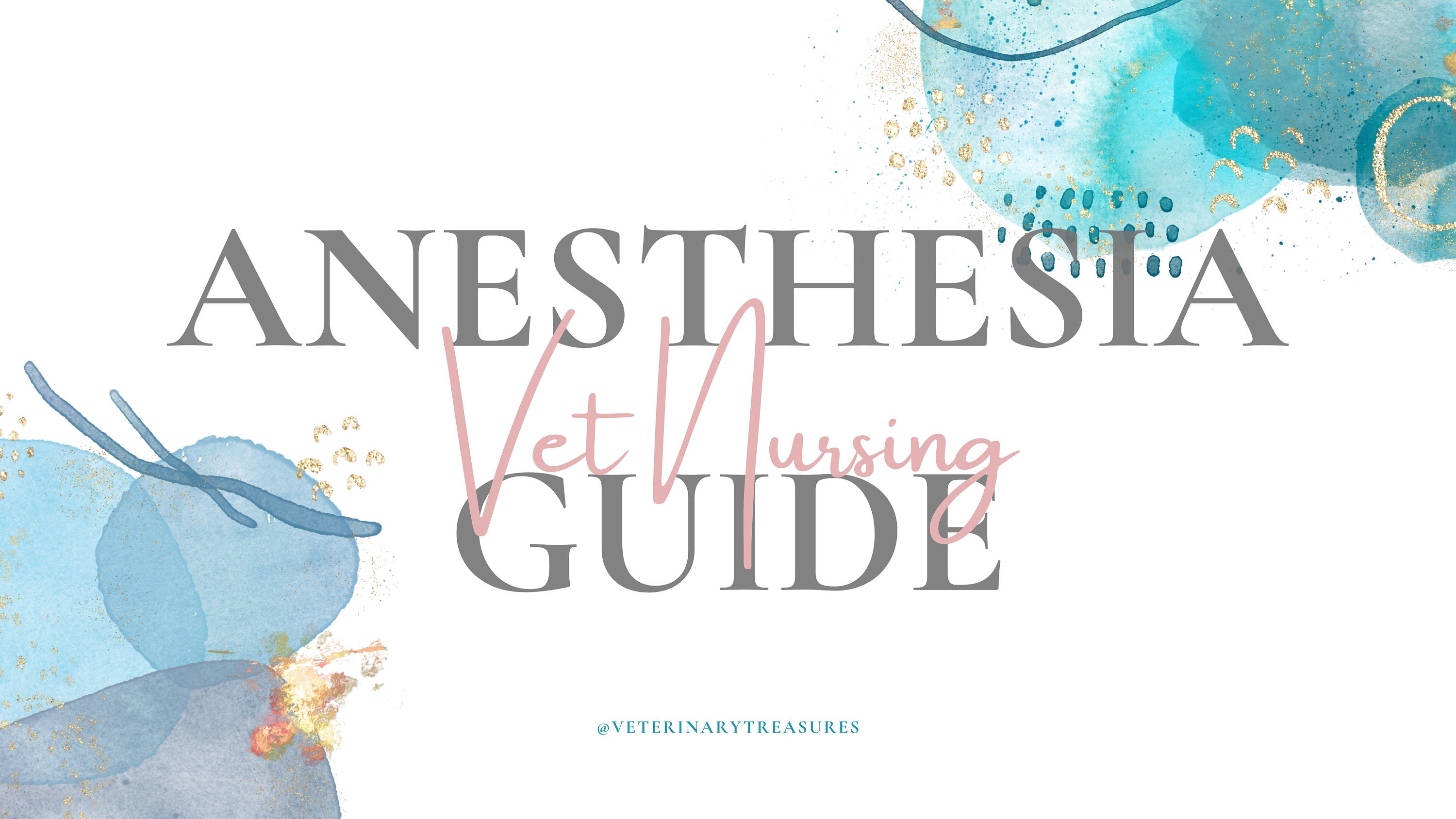 Vet Nursing Anesthesia Guide cheat Sheet Etsy