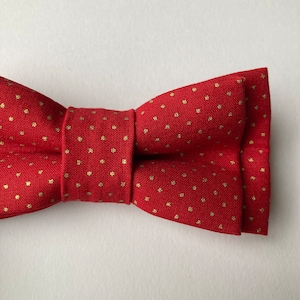 Red Bow Tie / Boys Bow Tie Pre-tied Bow Tie For Boys / Gold and Red bow tie / Polka dot bow tie / Self Tie Bow Tie / Skinny Tie
