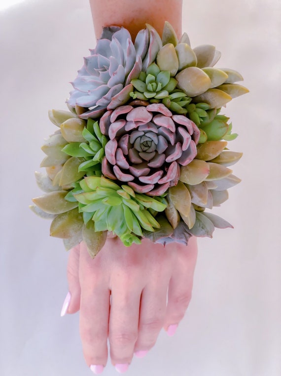Blue Succulent Corsage And Boutonniere Set Etsy Singapore