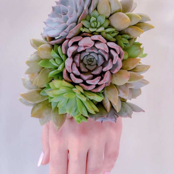 Blue Succulent Corsage and Boutonniere set