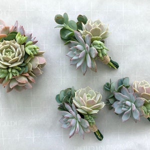 Lola Succulent Corsage and Boutonniere Set