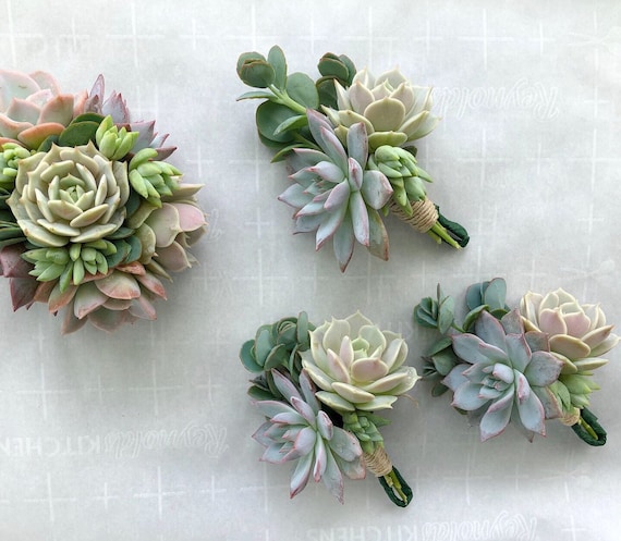 Succulent Lace Corsage Corsage In Draper Ut Draper Flowerpros