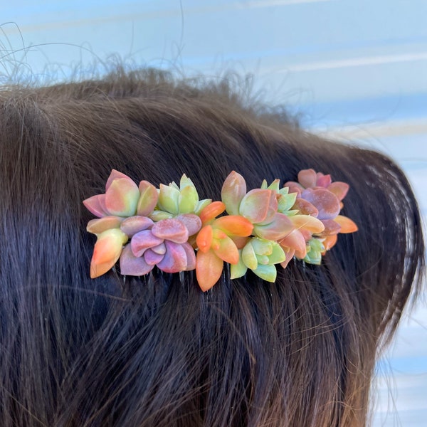 Bright Succulent Hair Clip