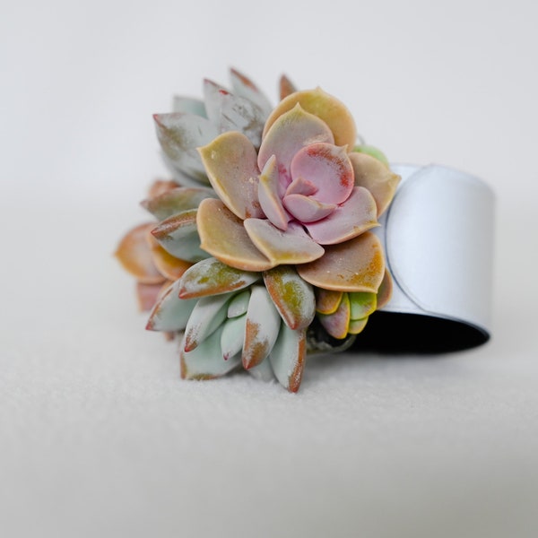 Slap Bracelet Succulent Corsage