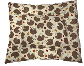 Fall Hedgehog Catnip Pillow/ Catnip Mat