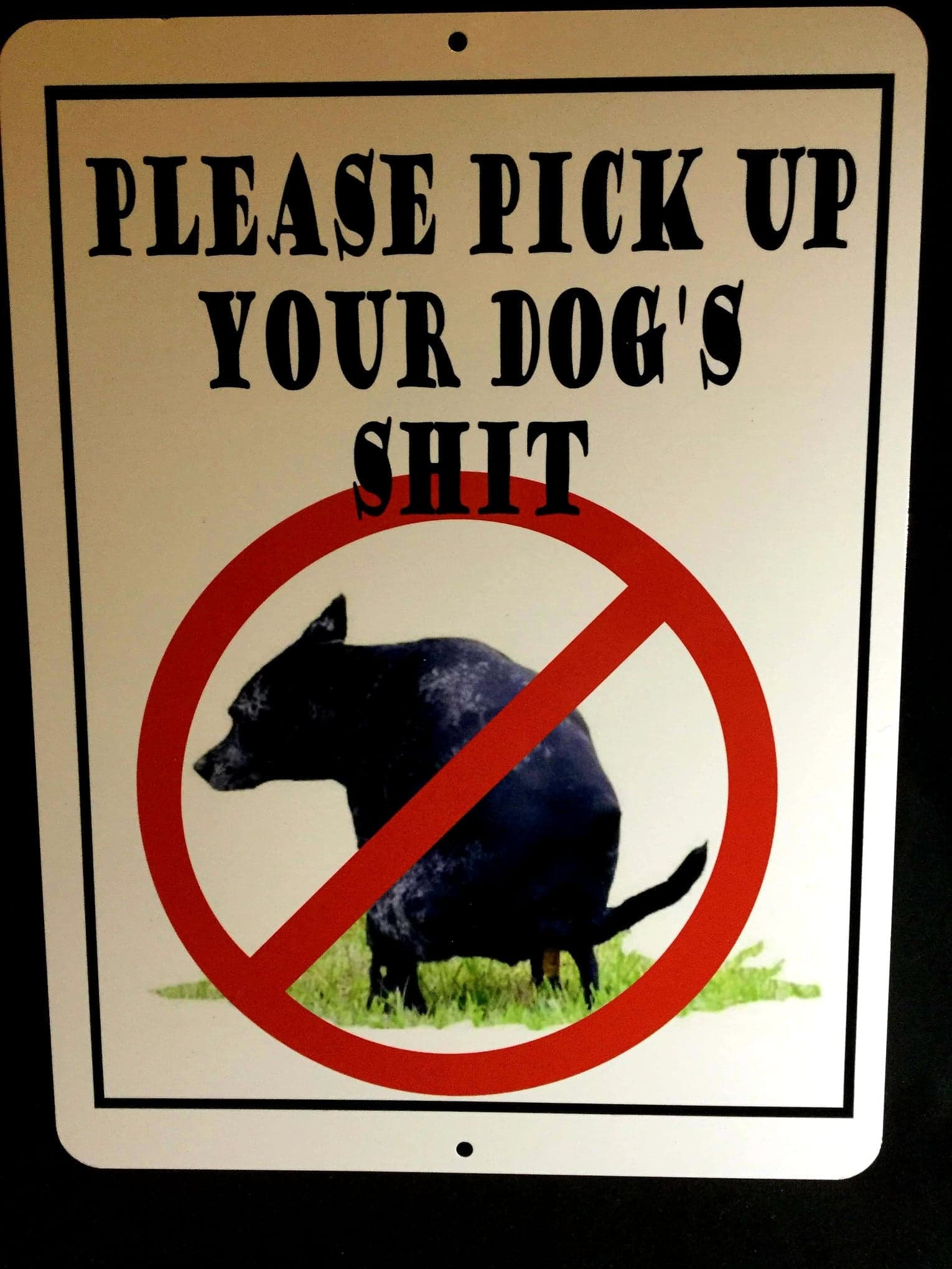 Pick up Your Dog Shit Pick up Your Dog Poo Dog Cleaning Etsy