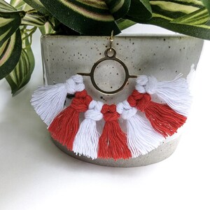 May include: A pair of red and white tassel earrings with a gold hoop and a gold bar connecting the tassels. The earrings are hanging from a potted plant.