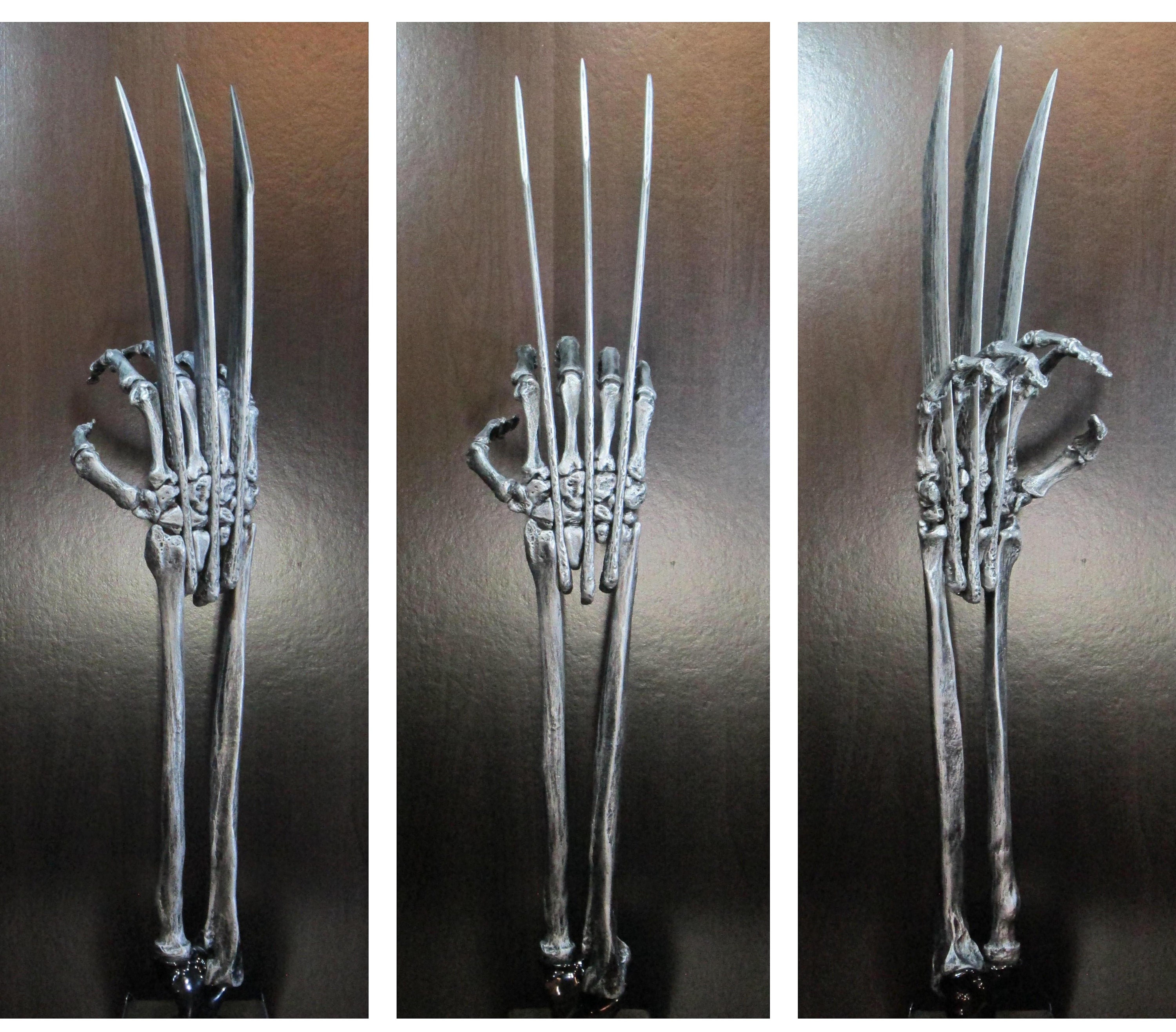 Wolverine Metal Skeleton
