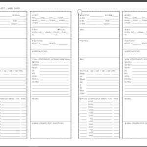 RN Brain Sheet