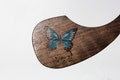 Handmade Walnut Acoustic Guitar Pickguard: Burned & Painted Butterfly product logo