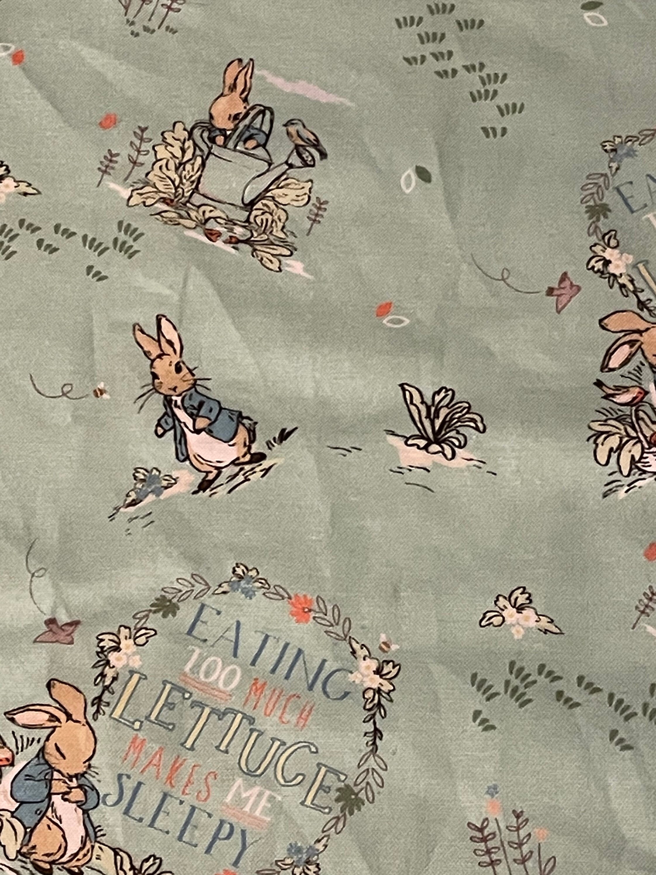 baby shower gifts baby gifts Peter rabbit Robin gift set Peter rabbit ...