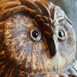 K&ouml;nnte beinhalten: Nahaufnahme einer Keramik-Eulen-Skulptur. Die Eule hat gro&szlig;e, dunkle Augen und eine detaillierte, strukturierte Oberfl&auml;che. Die Farbpalette umfasst Braunt&ouml;ne, Beige und Schwarz, was ein rustikales Aussehen erzeugt. Der Schnabel der Eule ist gl&auml;nzend schwarz.
