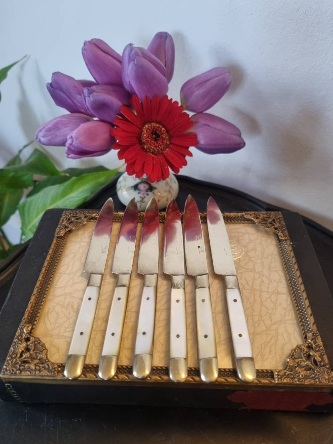 Stunning Set of Six Antique Uchatius Bronze Fruit Knives With Mother of