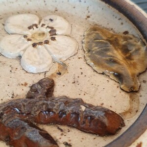 May include: A ceramic dish with a brown rim and a white interior. The dish features a brown, leaf-shaped design, a white flower with a brown center, and a brown, abstract design.