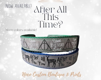 1" After All This Time Potter Wizard Dog Collars