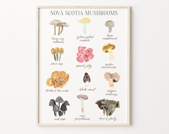 Mushrooms of Nova Scotia Vertical Art Print - Wild Edible Mushrooms